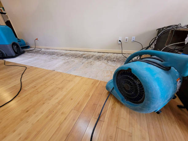 Professional Flood Damage Cleanup technician working in Forest Lake, IL